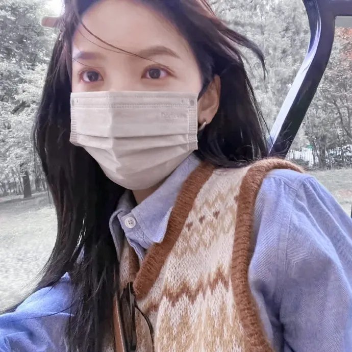 燕子盗